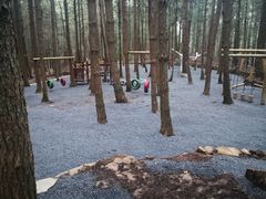 -重庆睡佛山森林公园