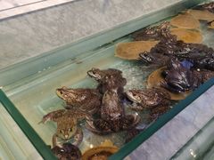 -川骄海鲜自助(河东店)