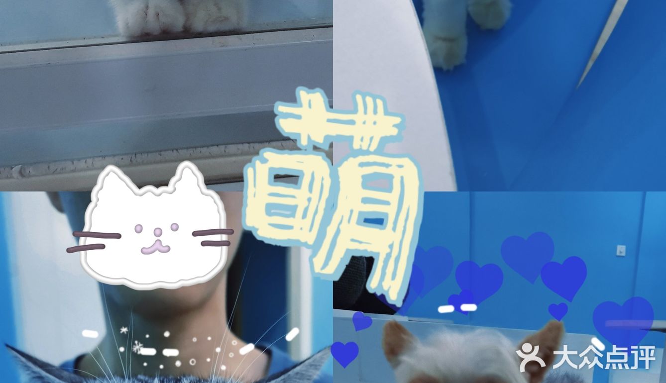 心都萌化了[可怜]