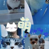 心都萌化了[可怜]