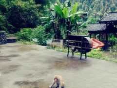 -阿依河景区