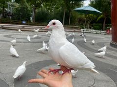 -南宫五洲植物乐园