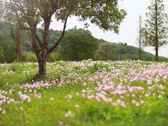 -南北湖风景区