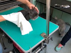 -康乐宝动物医院