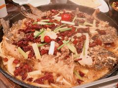 老板恋上鱼-老板恋上鱼(高新万达店)