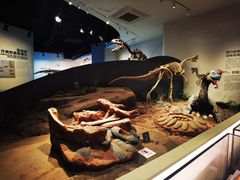 -自贡恐龙博物馆