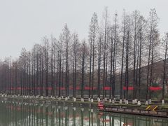 -圩墩遗址公园