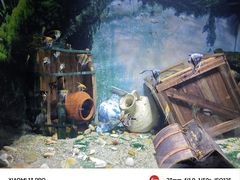 -常州海昌海洋探索馆