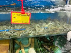 水产区-蚝专家(北滘店)