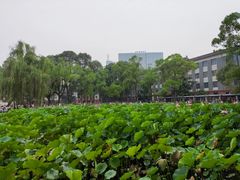 -四川大学(望江校区)