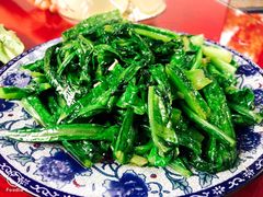 油麦菜-生态苑农庄(十里画廊遇龙河店)