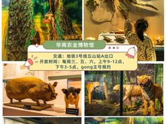 -广东中医药博物馆