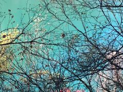 -叠溪松坪沟景区