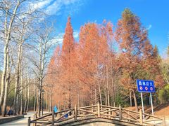 -白水寺森林公园