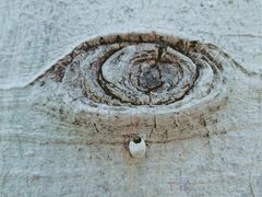 -深圳市人才园(深南大道店)