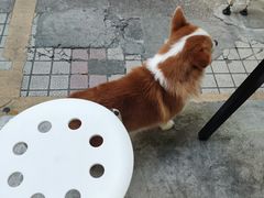 -小梁哥云吞面(黄贝岭店)