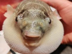 -永安鱼庄·镇江菜(东吴路店)