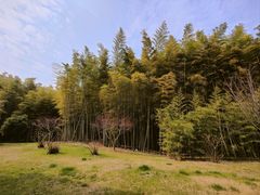 -苏州环秀晓筑养生度假村