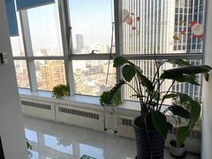 -新航道雅思托福·留学·考研培训(人民广场校区)