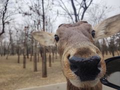 -秦皇岛野生动物园