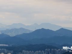 -黄埔油麻山森林公园