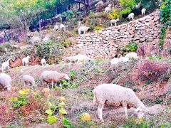 -湖洞水自然风景区