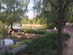 -达活泉公园
