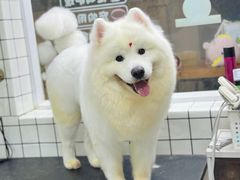 -安安宠医·臻爱宠物医院·宠保定点(营门口路分院)