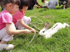 -洪湖家庭农场·团建·露营·会议