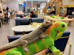 -FAIRYLAND龙族星球主题餐厅(凯丹广场店)