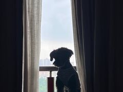 -三江森林温泉度假区