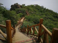 -大岭沟猕猴桃谷风景区