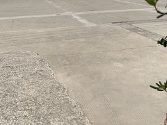 -无忧学车·华茂基地(宝山校区)