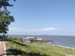 -呼兰河口湿地公园