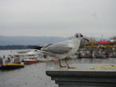 -滇池海埂公园