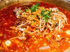 正宗成都冒烤鸭-张翻越·川渝冒菜·武汉黑鸭煲(城北万象城店)