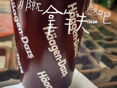 -哈根达斯(西安高新店)