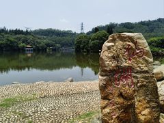 -深圳仙湖植物园