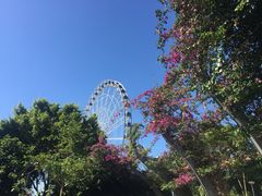 -布里斯班南岸公园