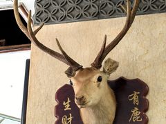 -乔家满族八大碗(流水沟店)