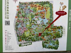 -上海共青森林公园