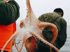 -东戴河风景区-止锚湾