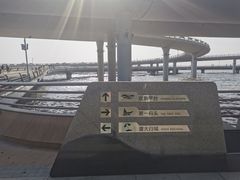 -演武大桥观景平台