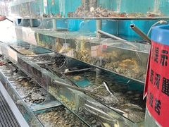 -仙螺岛海鲜自助餐厅(总店)
