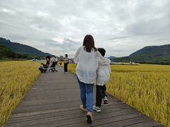 -风云岭森林公园