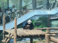 -大连森林动物园