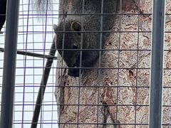 -桃园农庄·桃源宴