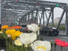 -四季民福烤鸭店(外滩外白渡桥店)