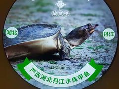 -笨笨甲甲鱼坊(蓝堡湾店)