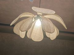 -阿露佳·舌尖上的安吉菜